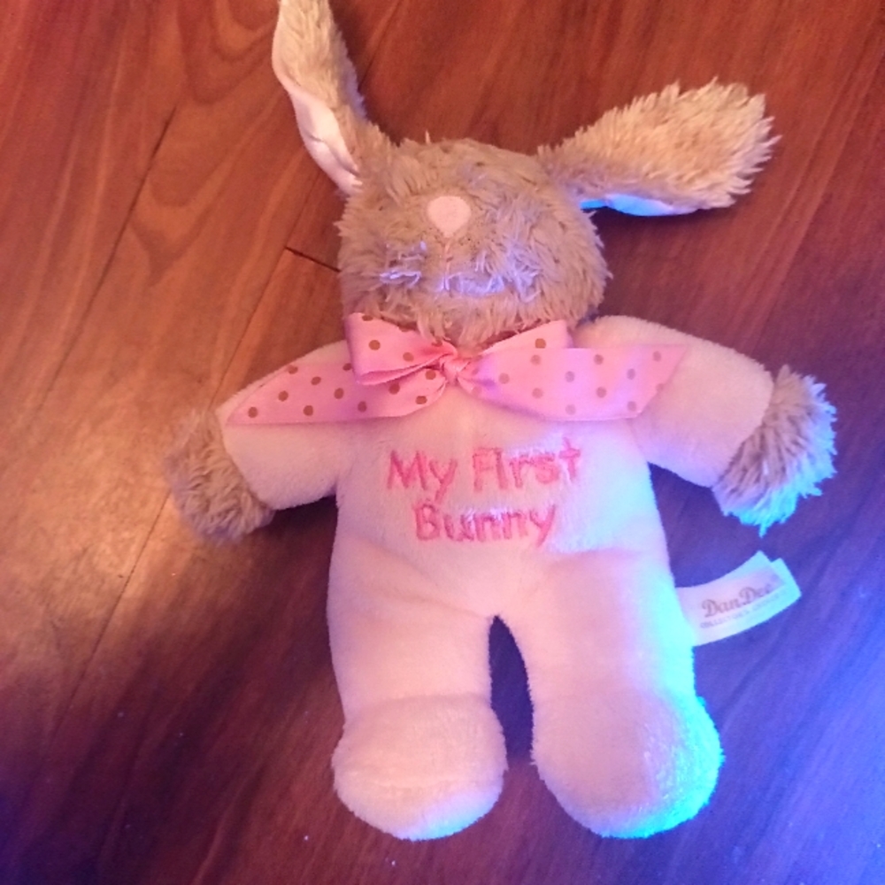 My 1ST Bunny